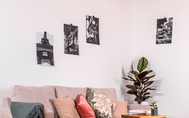 Silwy® Flex Magnethaken Inkl. Metall-Nano-Gel-Pads 5 Cm 8-tlg. Schwarz 7 Silwy® Flex Magnethaken Inkl. Metall-Nano-Gel-Pads 5 Cm 8-tlg. Schwarz – Bild 7